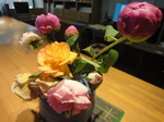 DSC00474.JPG