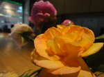 DSC00475.JPG