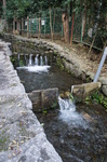 DSC00807.JPG