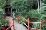DSC00809.JPG