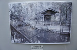 DSC00839.JPG