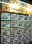 DSC06672.jpg