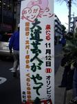 IMGP3893.jpg
